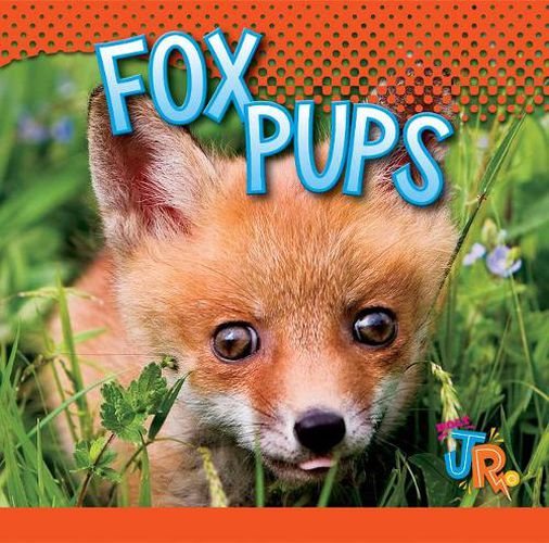 Cover image for Fox Pups