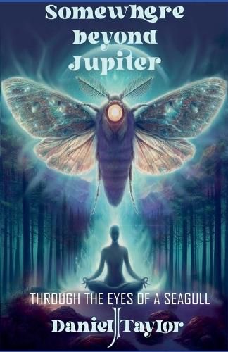 Cover image for Somewhere Beyond Jupiter - Through the Eyes of a Seagull