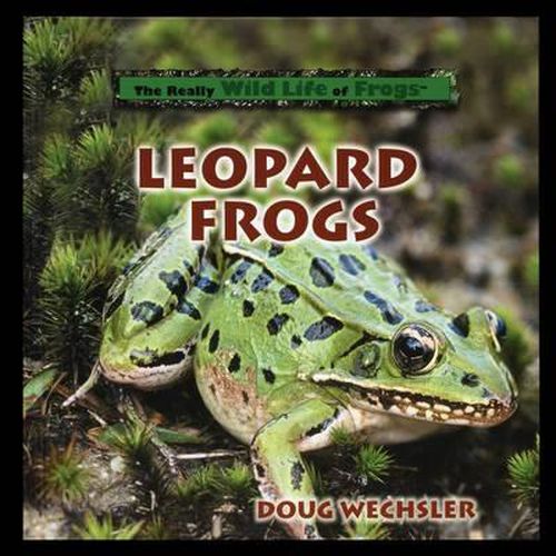 Cover image for Leopard Frogs