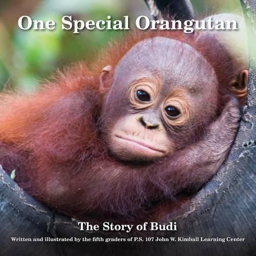 Cover image for One Special Orangutan: The Story of Budi