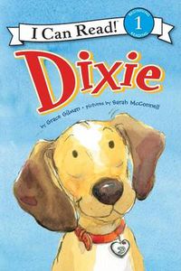 Cover image for Dixie