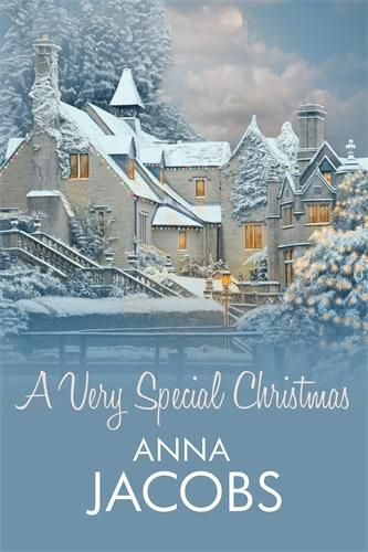 A Very Special Christmas: The gift of a second chance in this festive romance from the multi-million copy bestseller