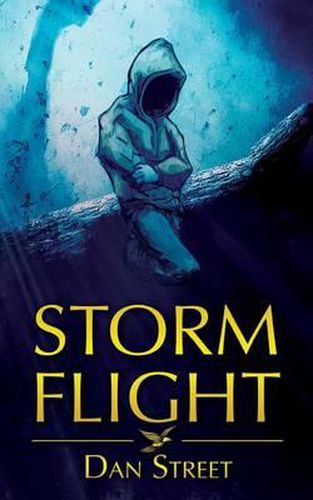 Cover image for Storm Flight