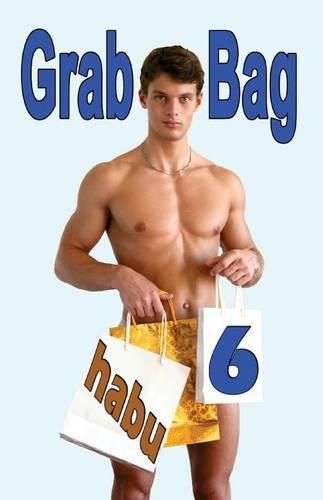 Cover image for Grab Bag 6: A Gay Erotica Anthology