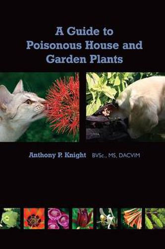 Cover image for A Guide to Poisonous House and Garden Plants