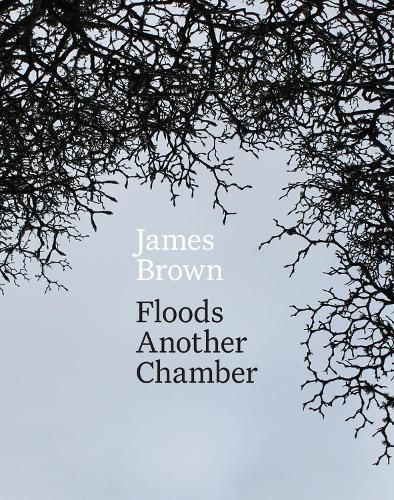 Cover image for Floods Another Chamber