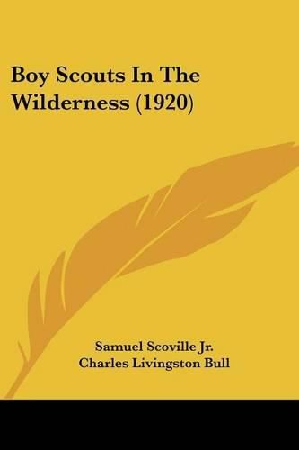 Cover image for Boy Scouts in the Wilderness (1920)