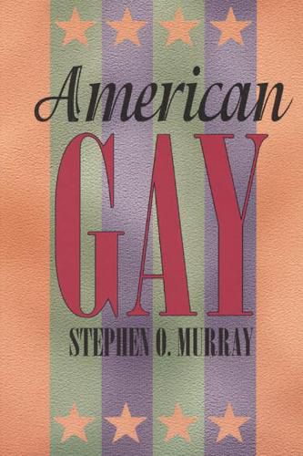 Cover image for American Gay