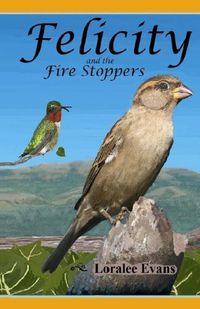 Cover image for Felicity and the Fire Stoppers