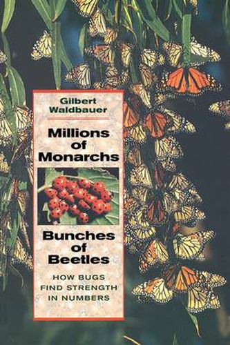 Cover image for Millions of Monarchs, Bunches of Beetles: How Bugs Find Strength in Numbers