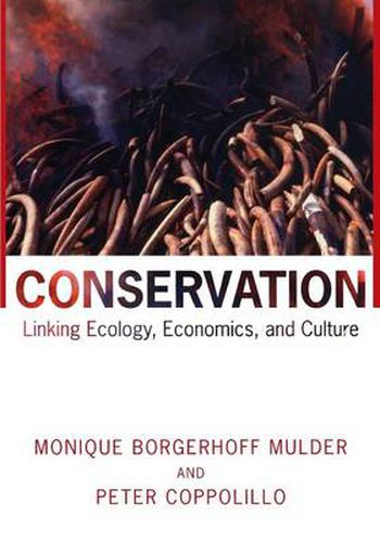 Cover image for Conservation: Linking Ecology, Economics, and Culture