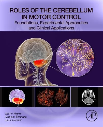 Cover image for Roles of the Cerebellum in Motor Control