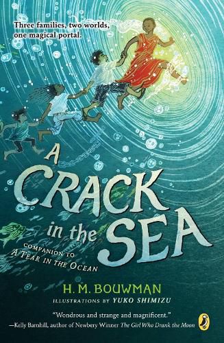 Cover image for A Crack in the Sea