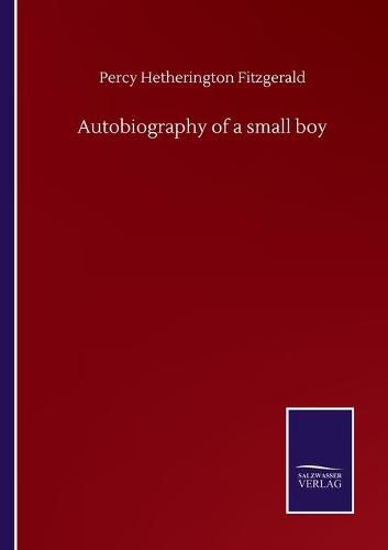 Cover image for Autobiography of a small boy