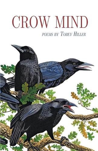 Cover image for Crow Mind