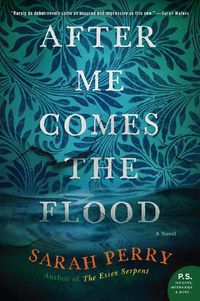 Cover image for After Me Comes the Flood