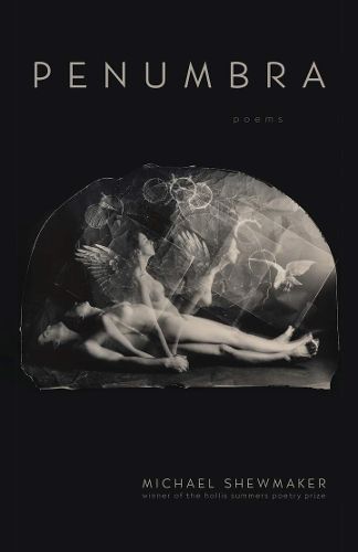 Cover image for Penumbra: Poems