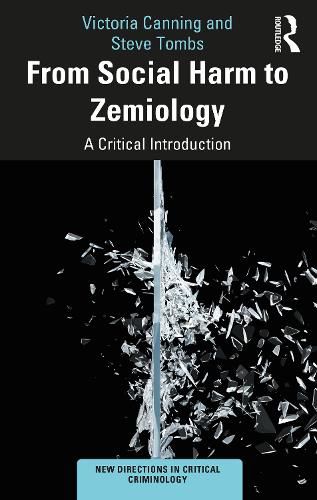 Cover image for From Social Harm to Zemiology: A Critical Introduction