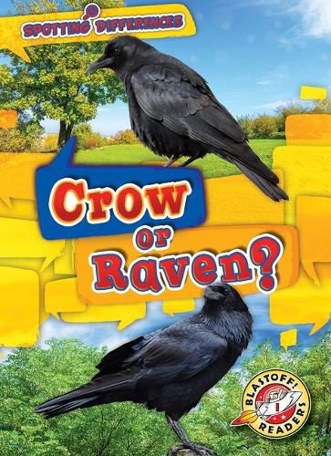 Cover image for Crow or Raven?