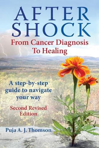 Cover image for After Shock: From Cancer Diagnosis to Healing: (Second Revised Edition)