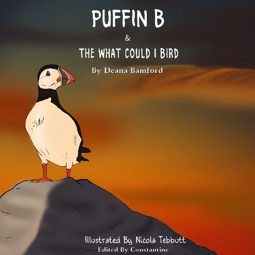 Cover image for PUFFIN B