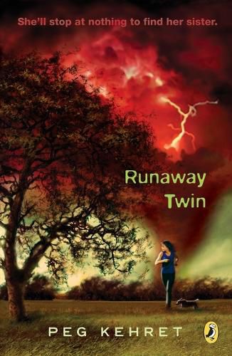 Cover image for Runaway Twin