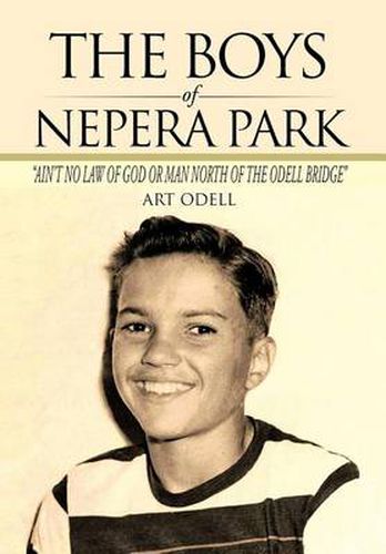 Cover image for The Boys of Nepera Park