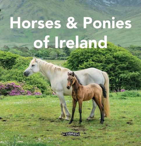Cover image for Horses and Ponies of Ireland