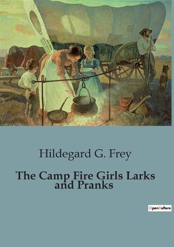 Cover image for The Camp Fire Girls Larks and Pranks