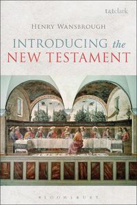 Cover image for Introducing the New Testament