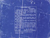 Cover image for N.E. Thing Co.: Companies ACT (Volume 1)