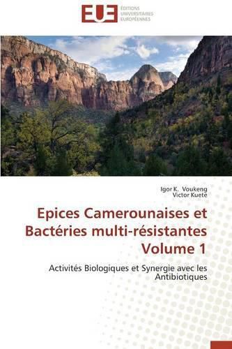 Cover image for Epices Camerounaises Et Bact ries Multi-R sistantes Volume 1