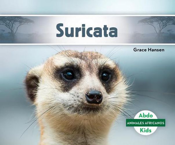 Cover image for Suricata/ Meerkat