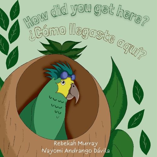 Cover image for How did you get here? ?Como llegaste aqui?