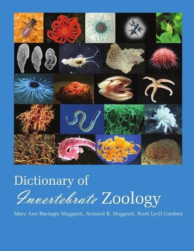 Dictionary of Invertebrate Zoology --Paperback