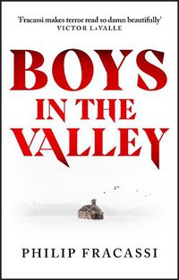 Cover image for Boys in the Valley