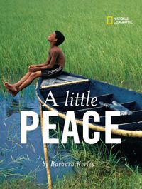 Cover image for A Little Peace