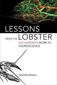 Cover image for Lessons from the Lobster: Eve Marder's Work in Neuroscience