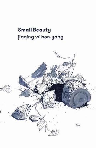Cover image for Small Beauty