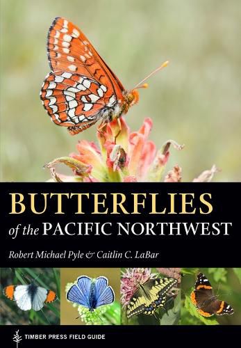 Cover image for Butterflies of the Pacific Northwest