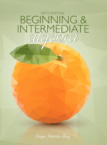 Cover image for Beginning & Intermediate Algebra