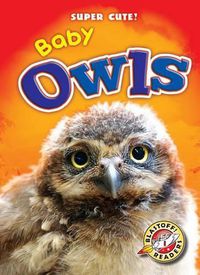 Cover image for Baby Owls
