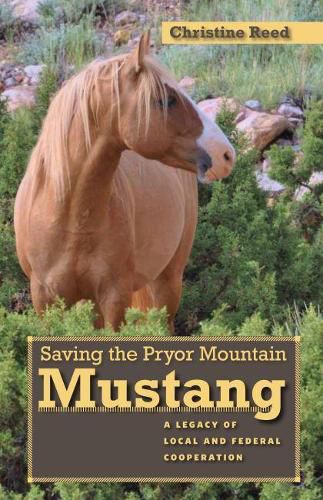 Cover image for Saving the Pryor Mountain Mustang: A Legacy of Local and Federal Cooperation