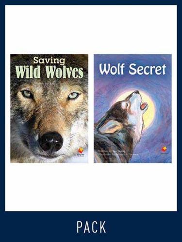 Cover image for Flying Start Guided Reading Level 26, Pack 2: Paired student books (6x6) and lesson plan (1)