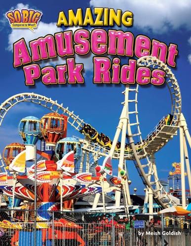Cover image for Amazing Amusement Park Rides