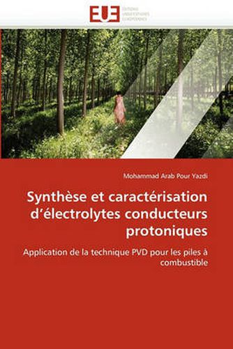 Cover image for Synthese Et Caracterisation D'Electrolytes Conducteurs Protoniques