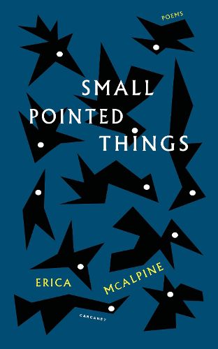 Cover image for Small Pointed Things