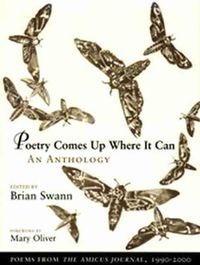 Cover image for Poetry Comes Up Where It Can