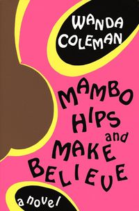 Cover image for Mambo Hips and Make Believe