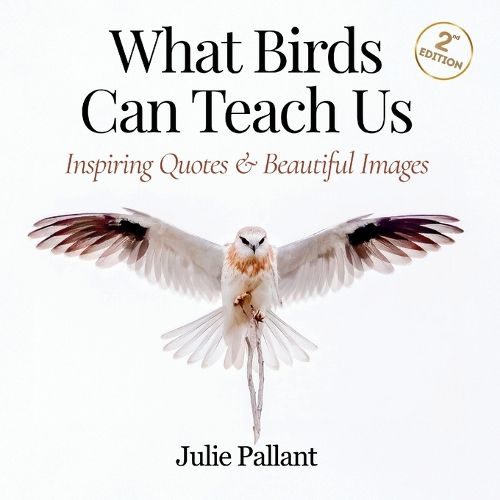 Cover image for What Birds Can Teach Us